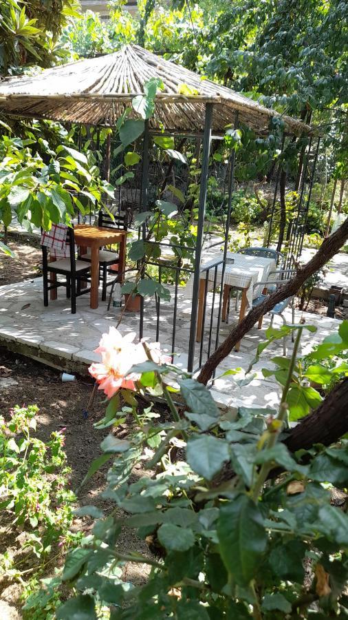Camping Late Gjirokastër Exterior foto