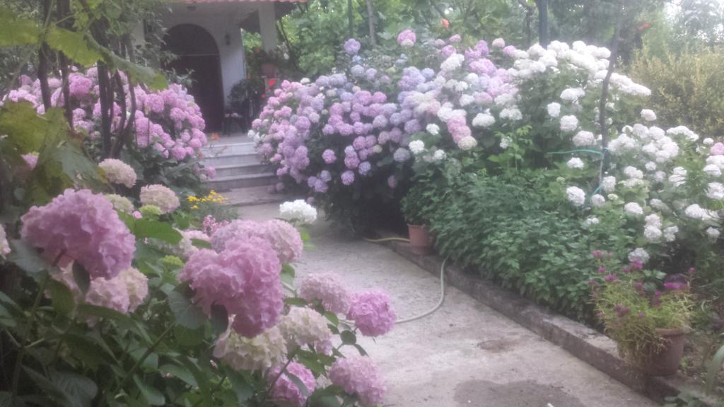 Camping Late Gjirokastër Exterior foto